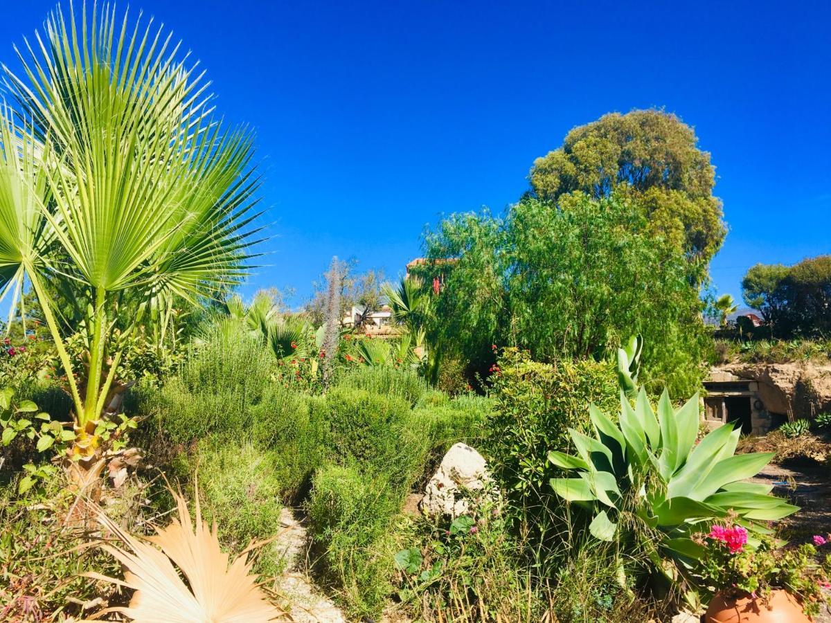 Tenerife Nature Retreat Ifonche Екстериор снимка