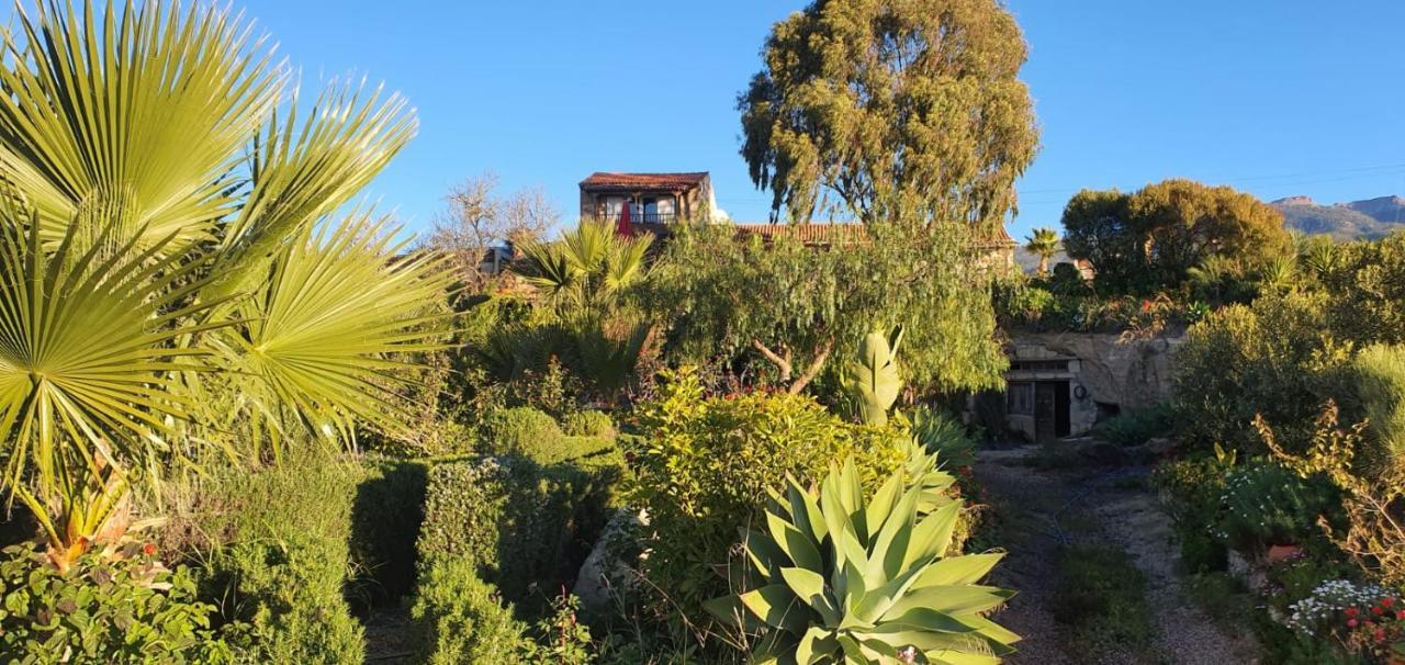 Tenerife Nature Retreat Ifonche Екстериор снимка