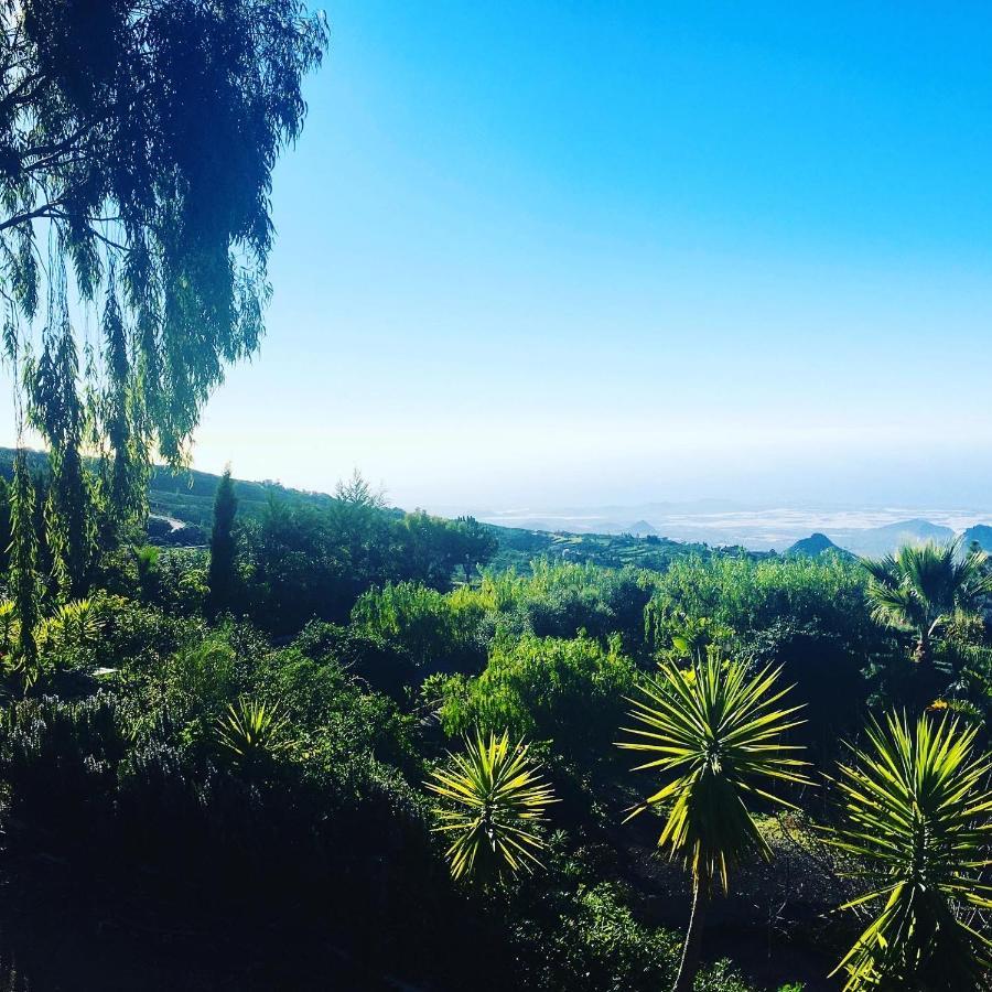 Tenerife Nature Retreat Ifonche Екстериор снимка