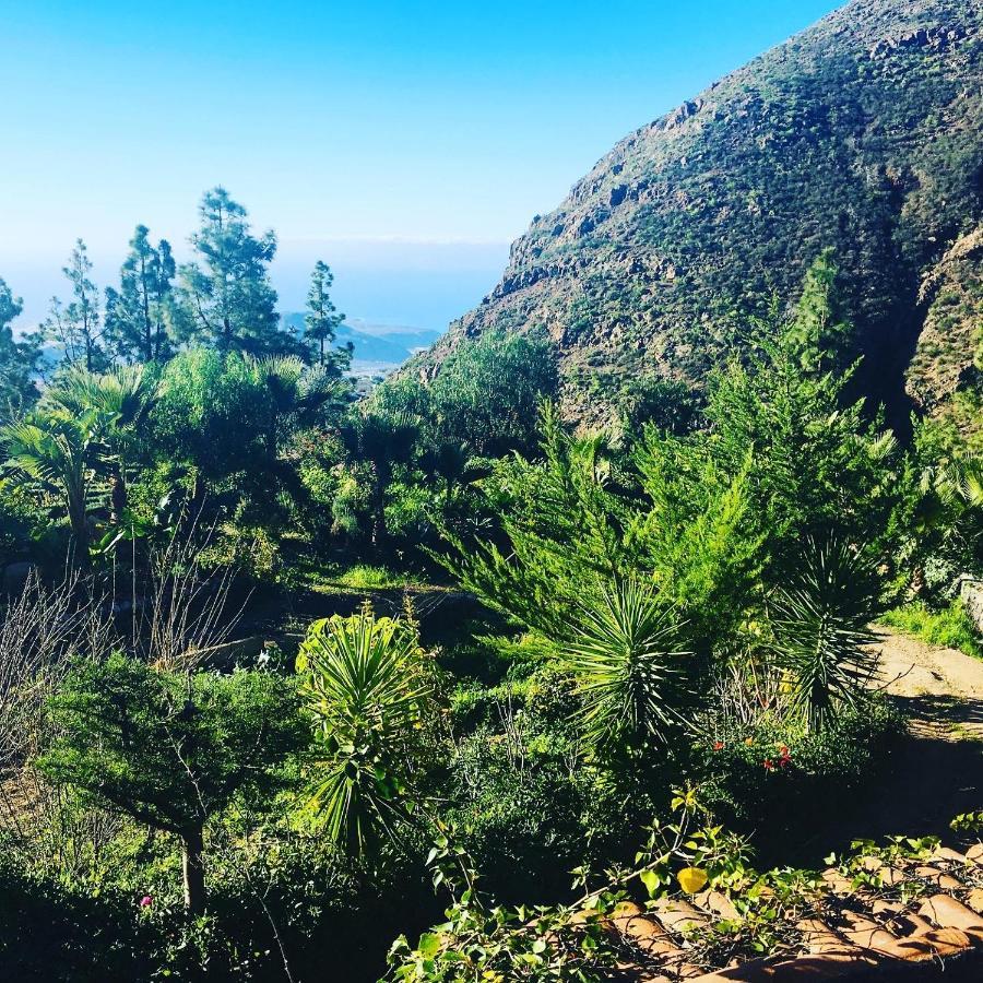 Tenerife Nature Retreat Ifonche Екстериор снимка