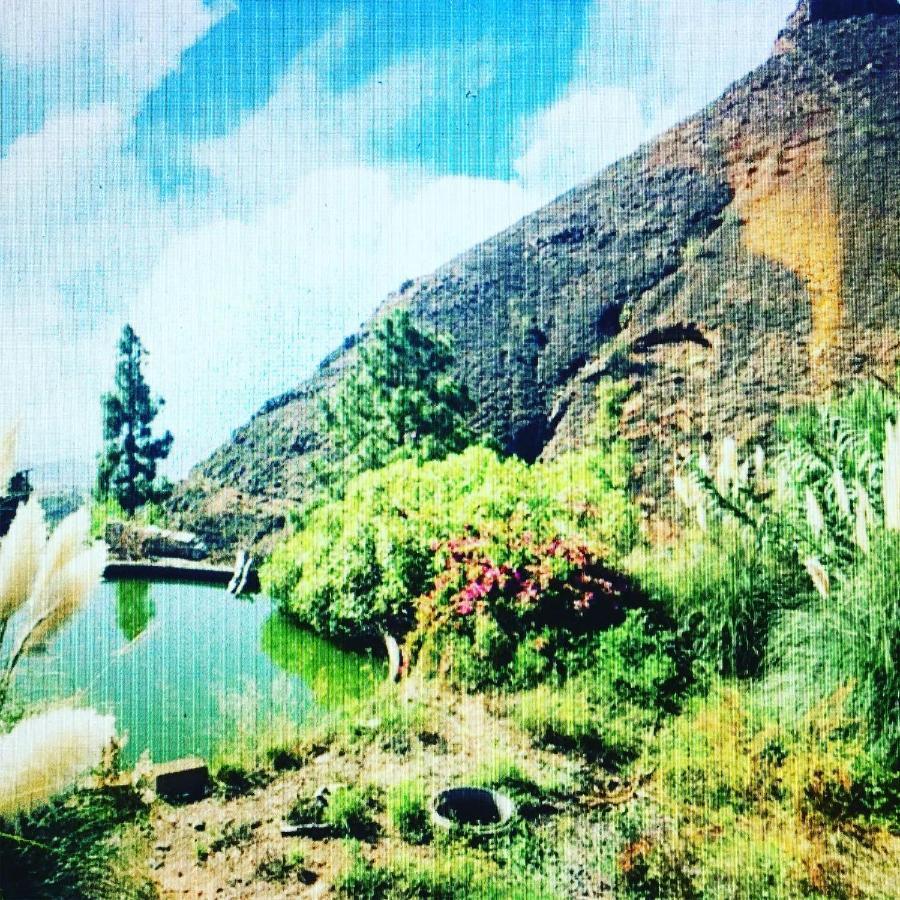 Tenerife Nature Retreat Ifonche Екстериор снимка